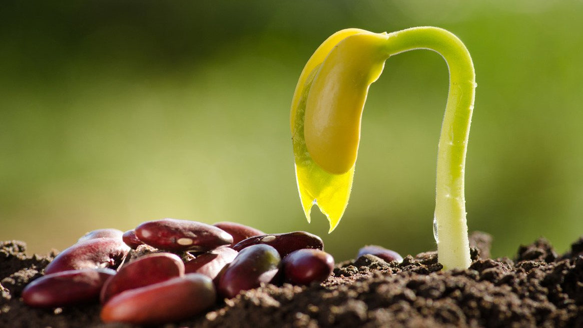 So You Think You Don't Need to Take a Vitamin D Supplement?