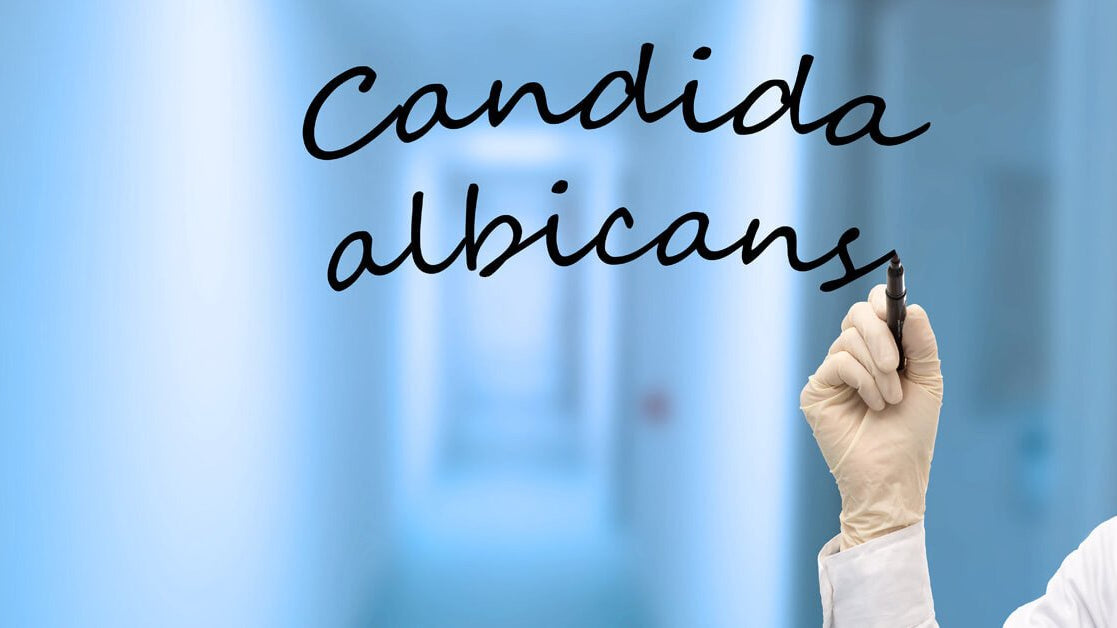 Candex™ The Treatment Option Without Die Off Problems