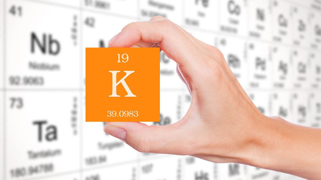 Why and When You Need to Take Potassium