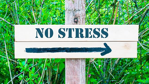 6 Simple Ways to Reduce Stress