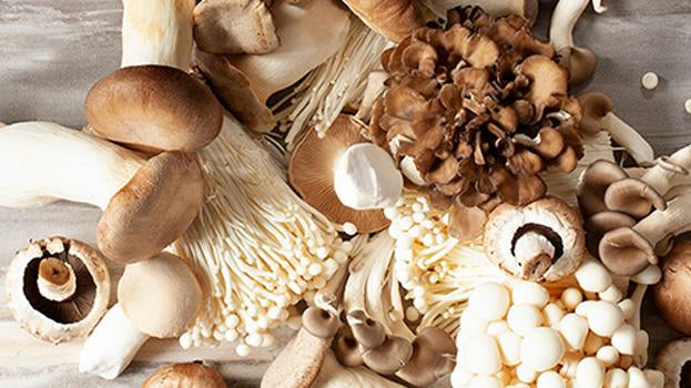 Beta-Glucans: What They Are & Why You Should Include Them in Your Diet