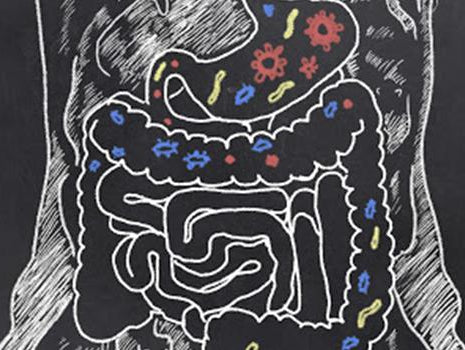 7 Tips to a Healthier Gut
