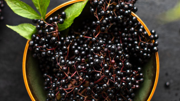 Everything You Need to Know About Elderberry and Its Many Benefits