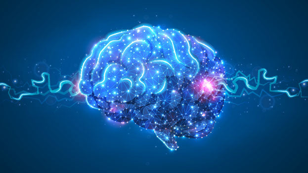 5 Tips to Keep Your Brain Healthy