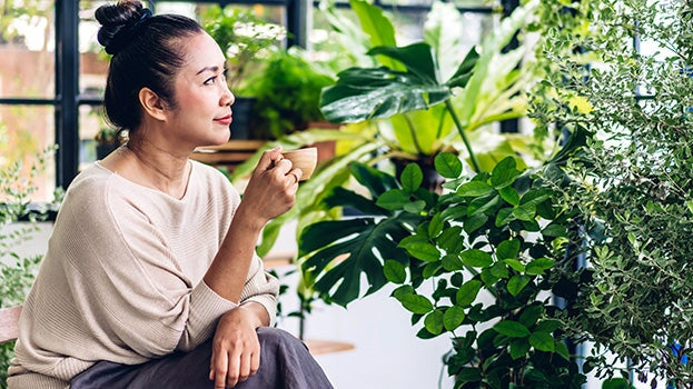 The Best Herbs for Menopause