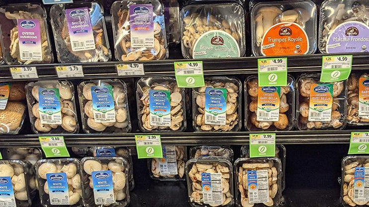The Healthiest Mushrooms Available at your Local Grocer