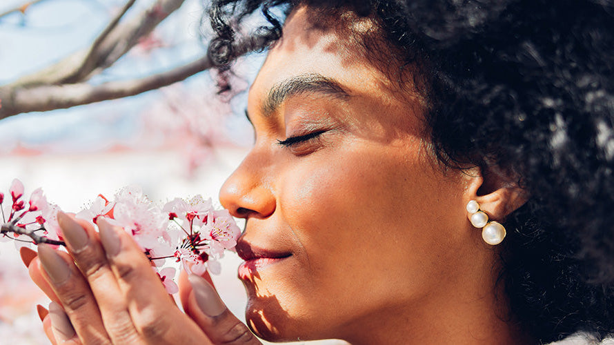 8 Soothing Herbs to Support Your Sinuses