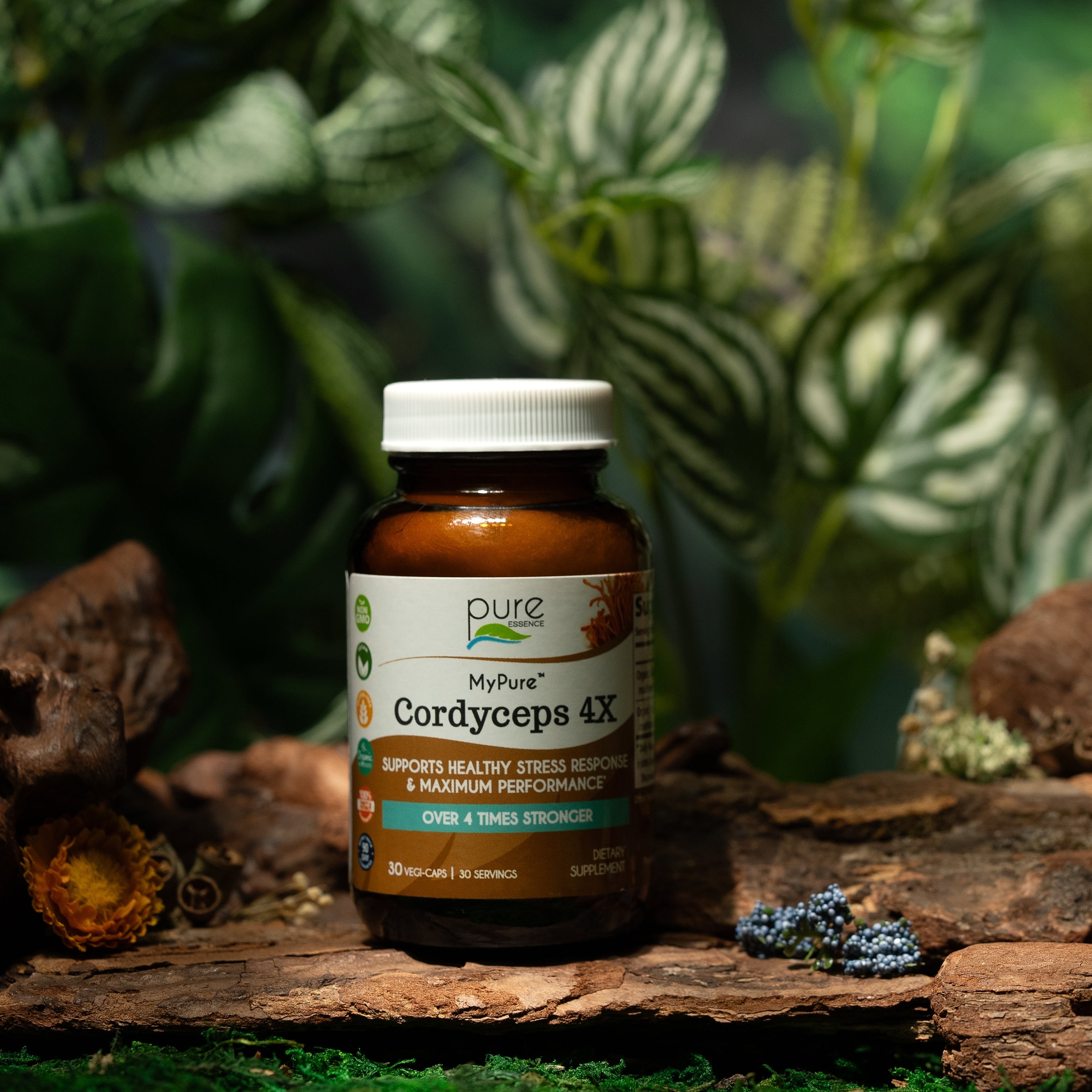 MyPure™ Cordyceps 4X Mushroom Pure Essence Labs