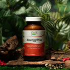 EnergyPlus™ Energy Pure Essence Labs