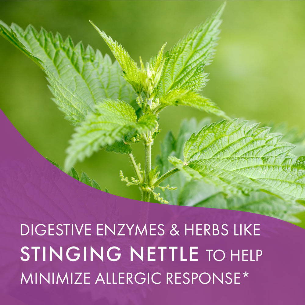 AllerFree™ Immune Support Pure Essence Labs
