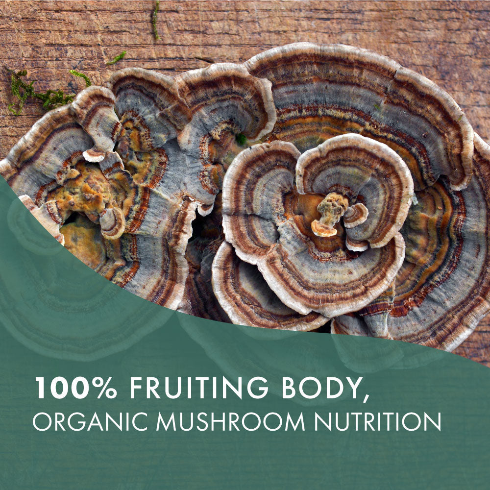 MyPure™ Turkey Tail 4X Mushroom Pure Essence Labs