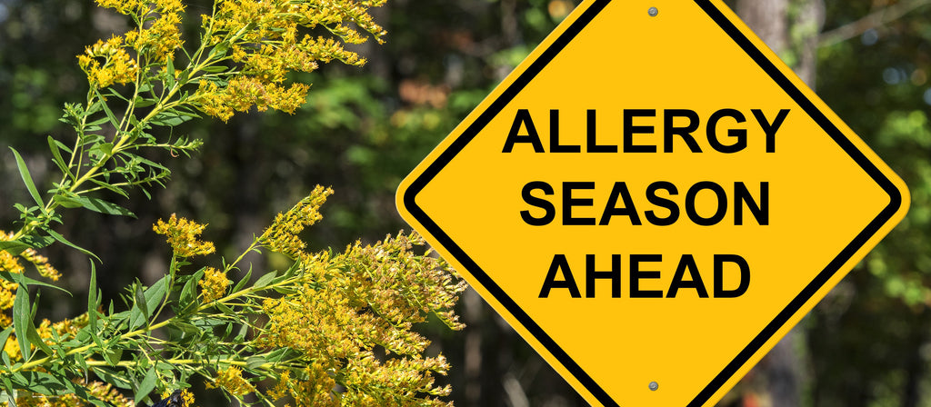 A Beginner’s Guide to Allergies