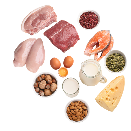 Adenosine Triphosphate