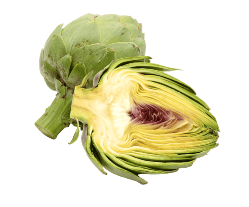 Artichoke