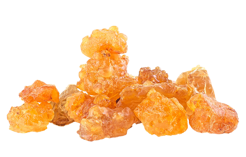 Boswellia Serrata (AprèsFLEX®)