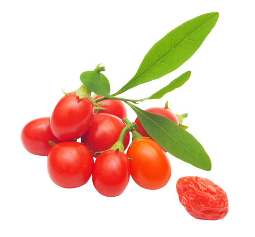 Goji Berry