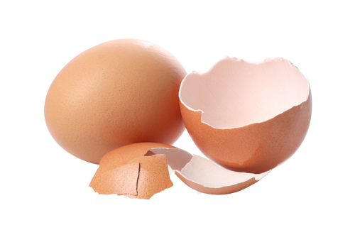 Natural Eggshell Membrane (NEM®)