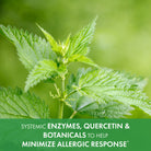 AllerFree™ Immune Support Pure Essence Labs