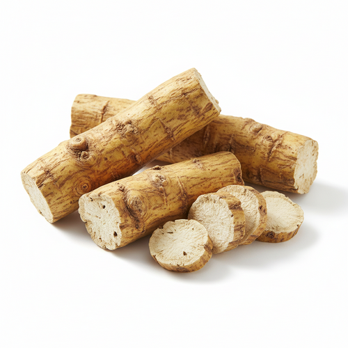 Astractylodes Root