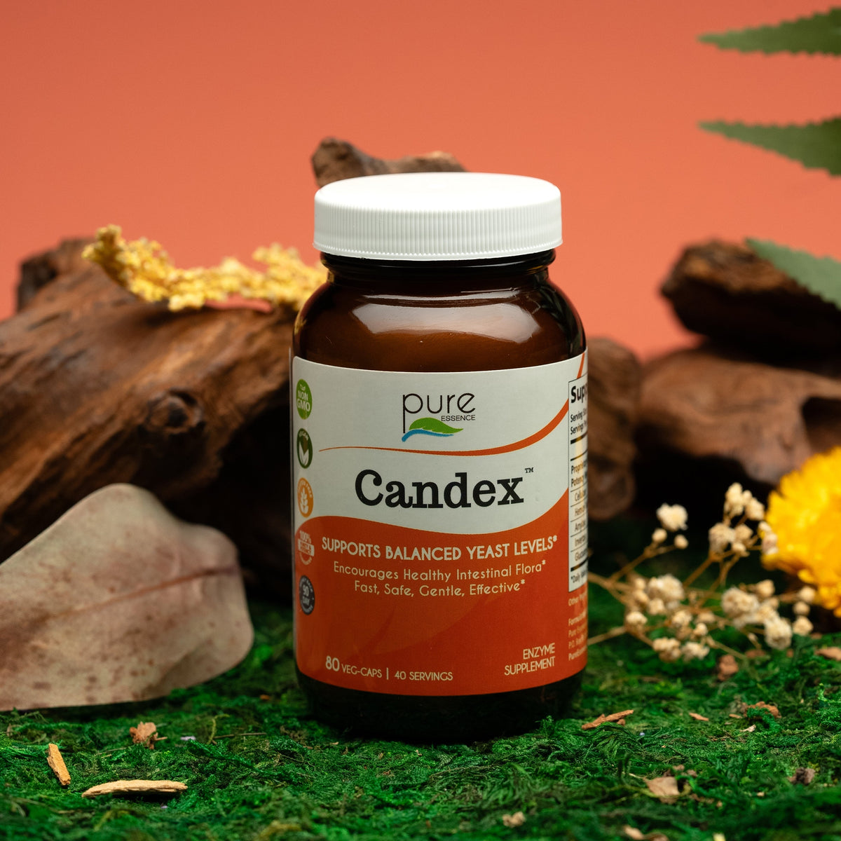 Candex™ - Enzyme Supplement for Candida Yeast – Pure Essence Labs