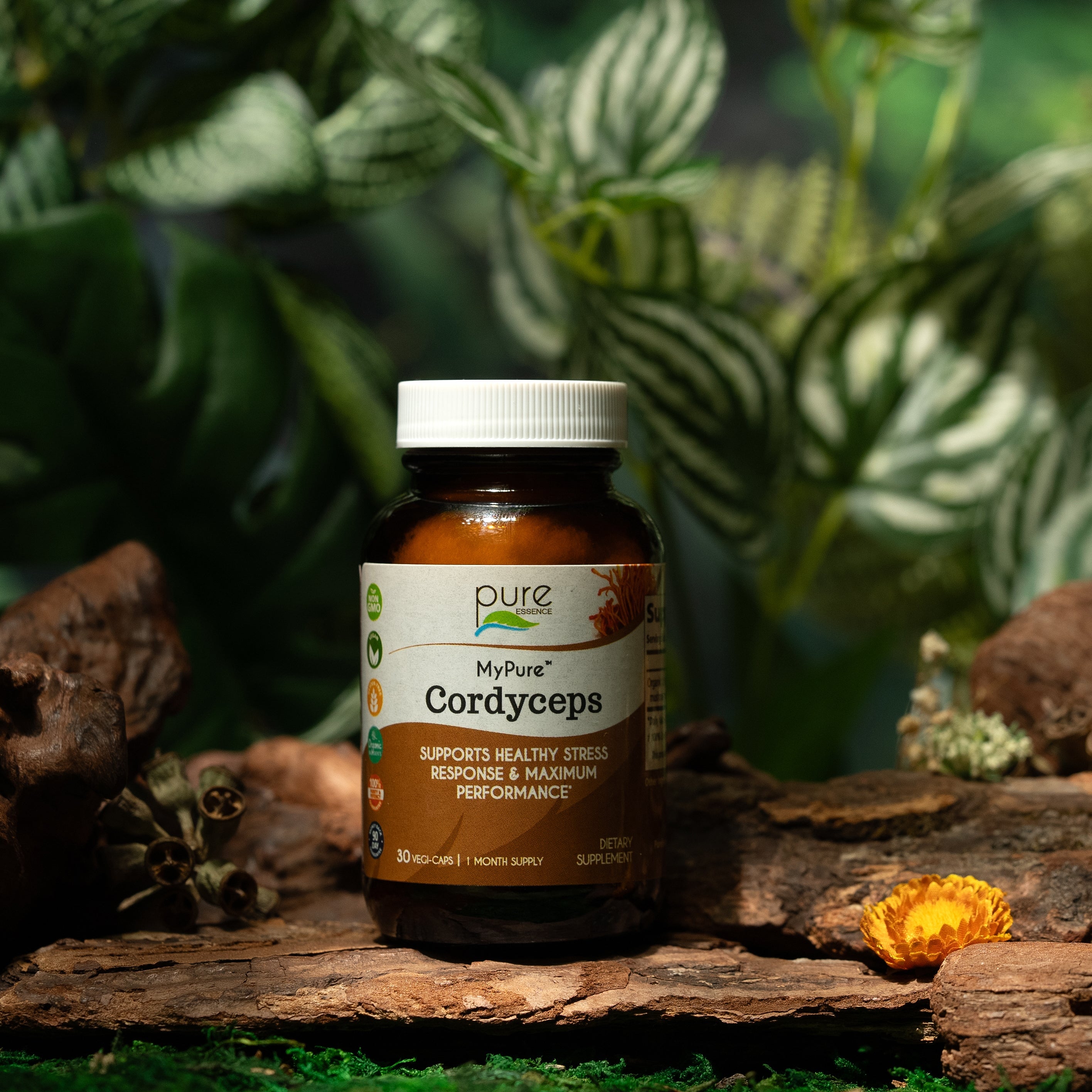 MyPure™ Cordyceps Mushroom Pure Essence Labs   