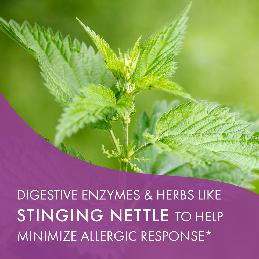 AllerFree™ Immune Support Pure Essence Labs   