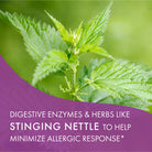 AllerFree™ Immune Support Pure Essence Labs   