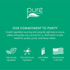 EnergyPlus™ Energy Pure Essence Labs   