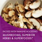 Immune Support System™ Immune Support Pure Essence Labs   