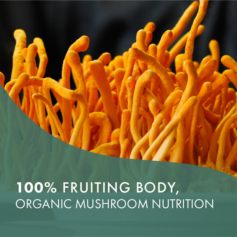 MyPure™ Cordyceps 4X Mushroom Pure Essence Labs   