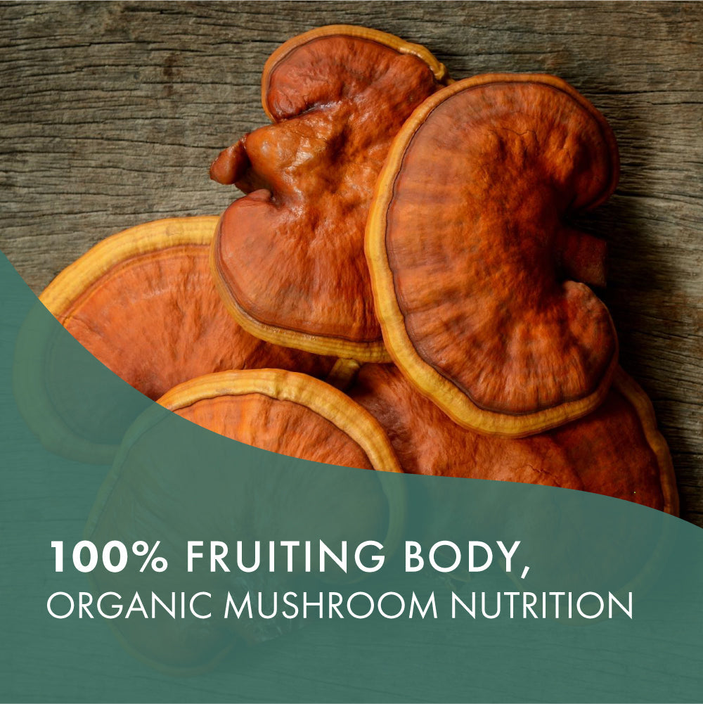MyPure™ Reishi Mushroom Pure Essence Labs   