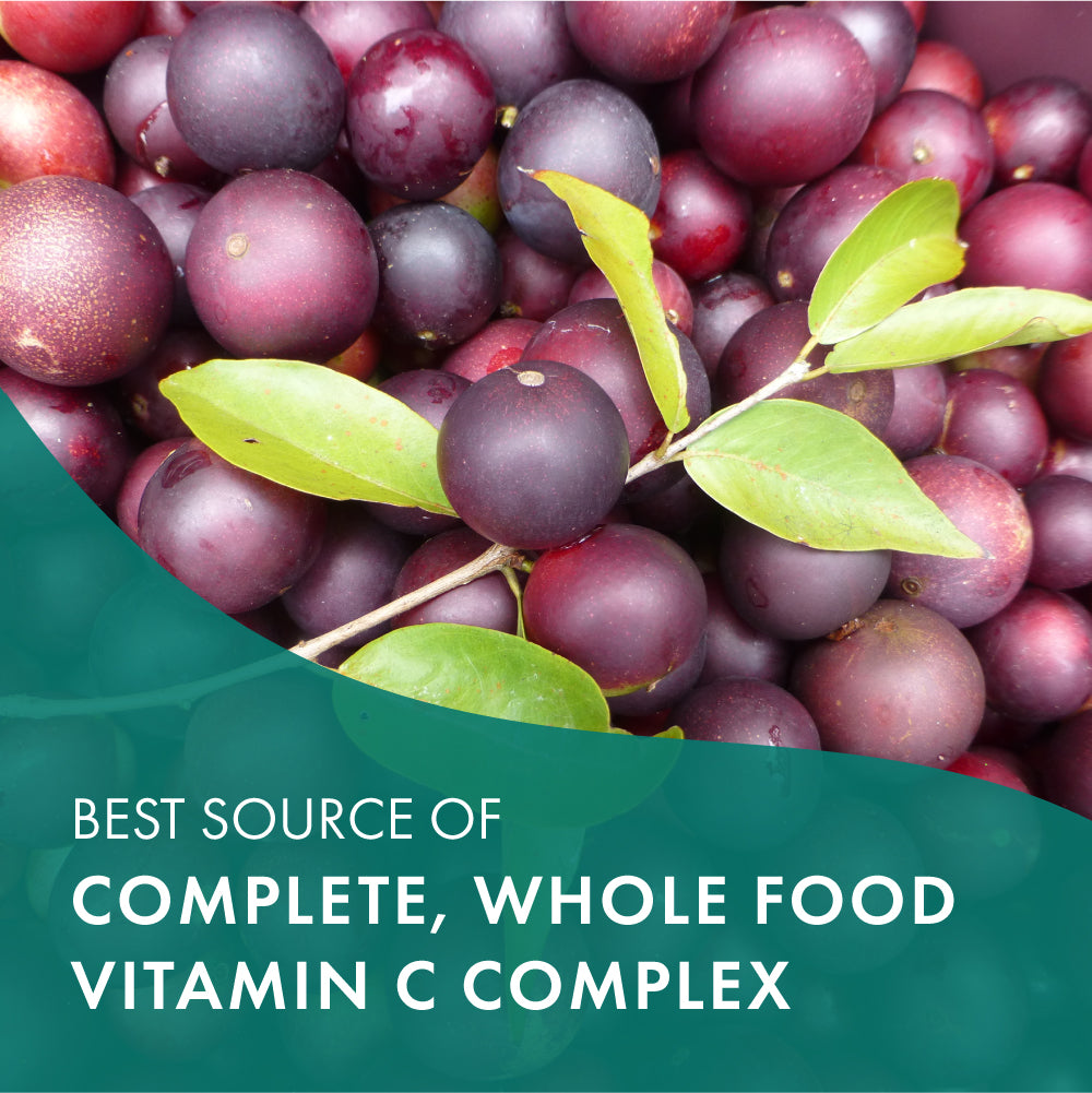Whole-C™ Immune Support Pure Essence Labs   